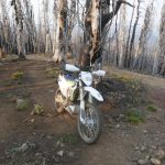 Husqvarna 701 Enduro neat Quartz Mt.