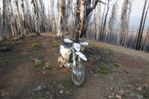 Husqvarna 701 Enduro neat Quartz Mt.