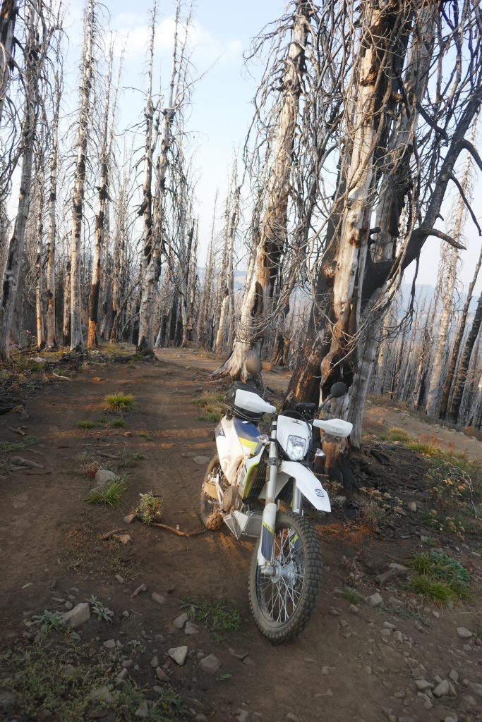 First adventure ride Husqvarna 701